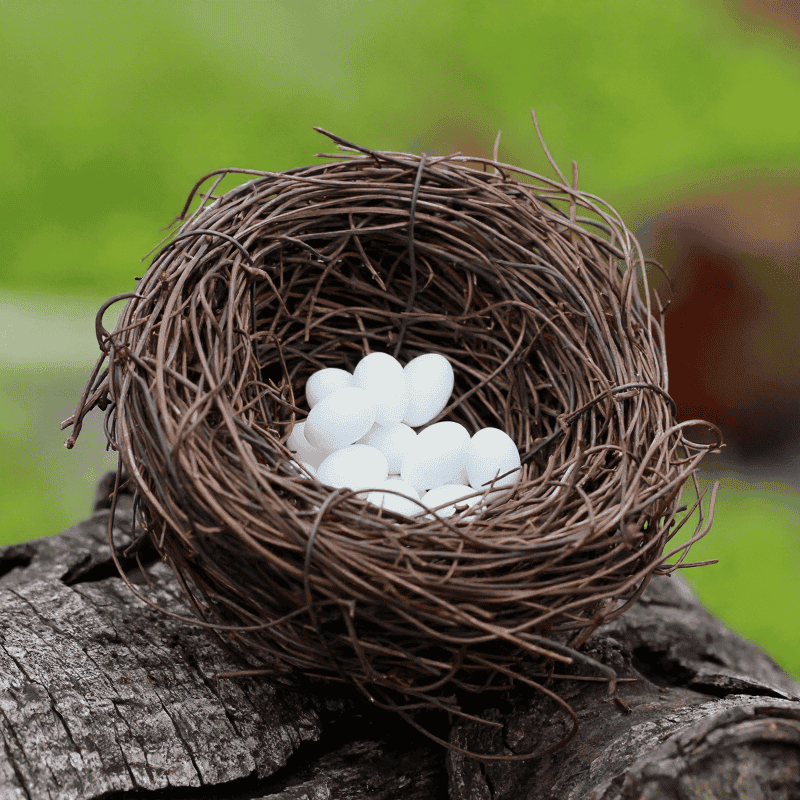 Mini Fairy Garden Birds Nest Decoration Fairy Garden Accessories Happy Birds Nest Birds Egg Diy Fairy Garden Accessories Terrarium Bird Nest Bonsai Fairy Garden Ornament