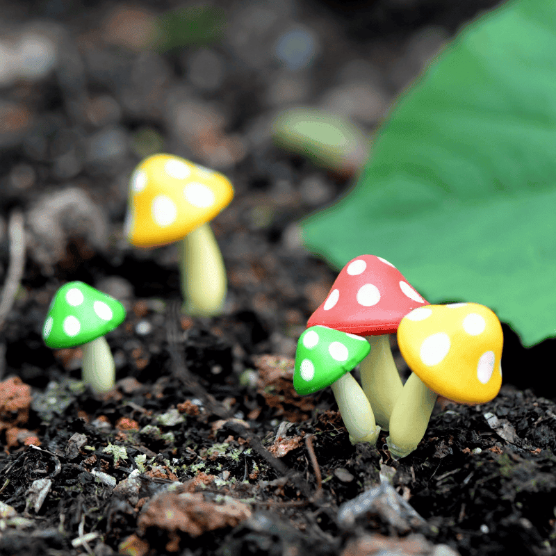 Artificial Plant Ornament Foam Mushroom Fairy Garden Micro Landscape Miniature Garden Pot Bonsai Fairy Garden Decoration Fairy Garden Accessories Multicolour Mushroom Picture of Fairy Garden Supplies Artificial Plant Ornament Foam Mushroom Fairy Garden Micro Landscape Miniature Garden Pot Bonsai Fairy Garden Decoration Fairy Garden Accessories Multicolour Mushroom Photo From Fairy Garden Supplies