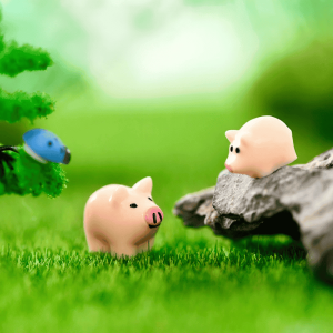 Mini Fairy Garden Kits Animal Pig Doll Micro Landscape Miniature Garden Decorate Pot Bonsai Fairy Garden Decoration Terrariums Fairy Garden Accessories Pig And Small Kids Pig Toys Fairy Garden Supplies Decoration Photo Of Fairy Garden Supplies