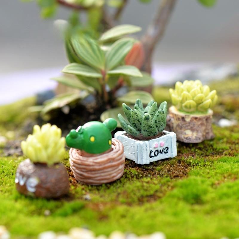 Grocery Moss Micro Landscape Jewelry Fleshy Doll Ornaments LOVE Fleshy Ornaments DIY Material Photo from Fairy Garden Supplies Grocery Moss Micro Landscape Jewelry Fleshy Doll Ornaments Love Fleshy Ornaments Diy Material Picture From Fairy Garden Supplies