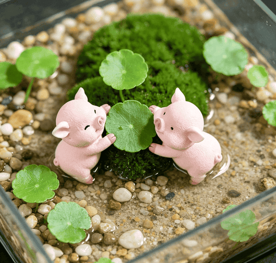 Minifairygardensuppliesstore.com — Inspiration